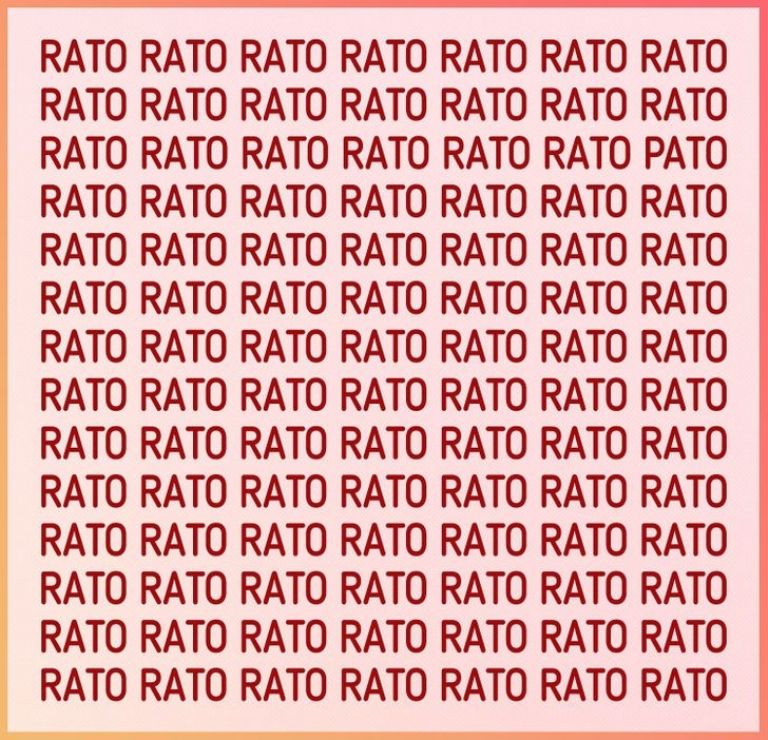 find the pato among rato-que