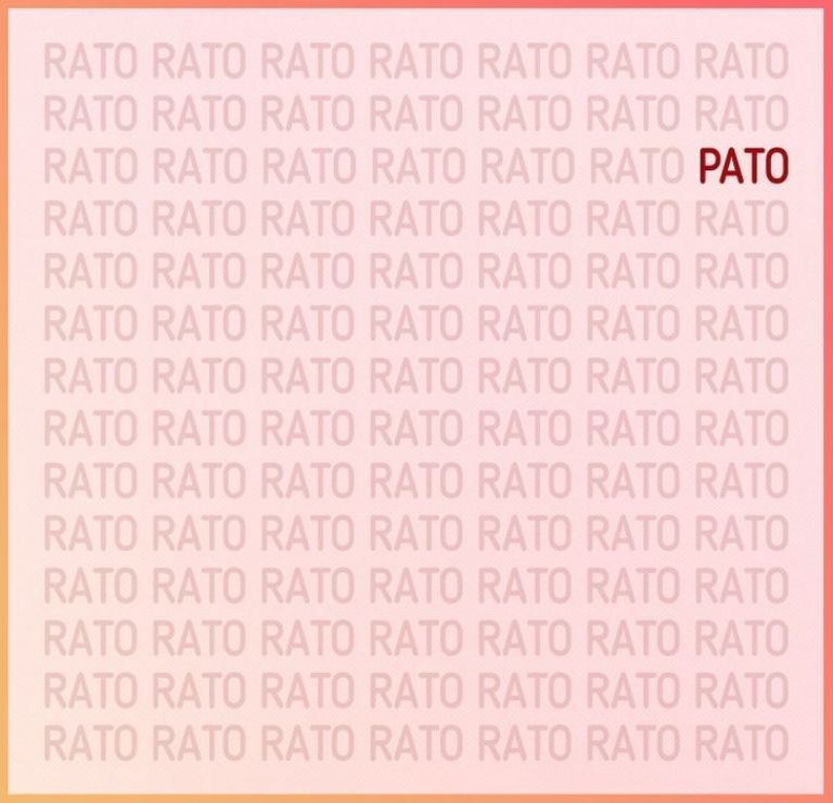 find the pato among rato-sol