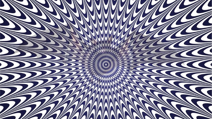 find the hidden animal-que