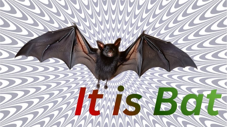 find the hidden animal-sol