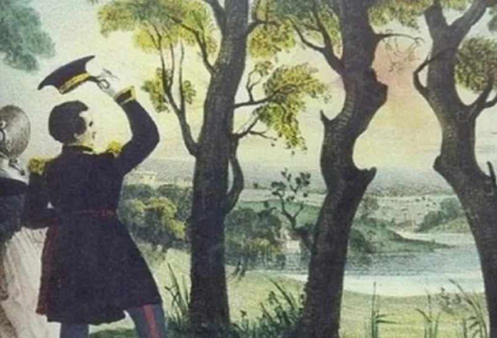 spot-hidden-woman-optical-illusion