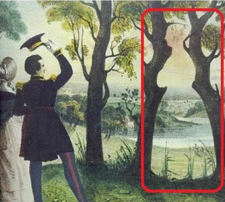 spot-hidden-woman-optical-illusion-answer