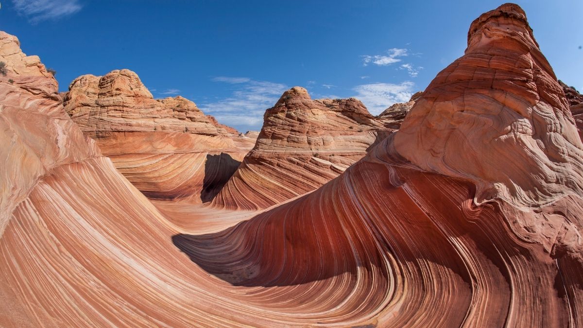The Wave Rock Formations
