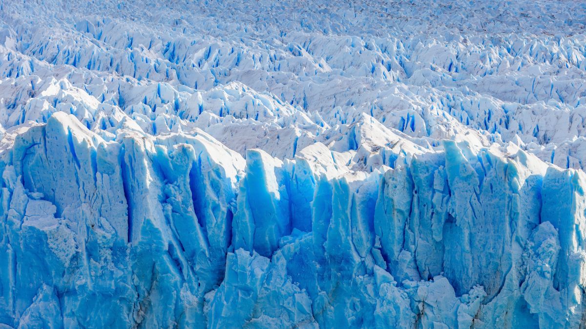 largest glacier in india