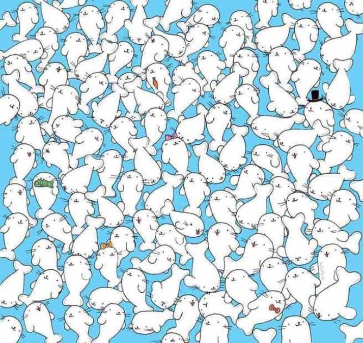 spot-hidden-marshmallow-optical-illusion