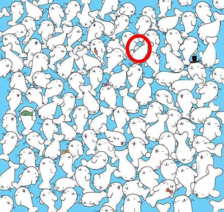 spot-hidden-marshmallow-optical-illusion-answer