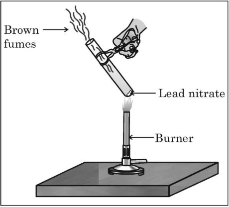 science-mcq-image1