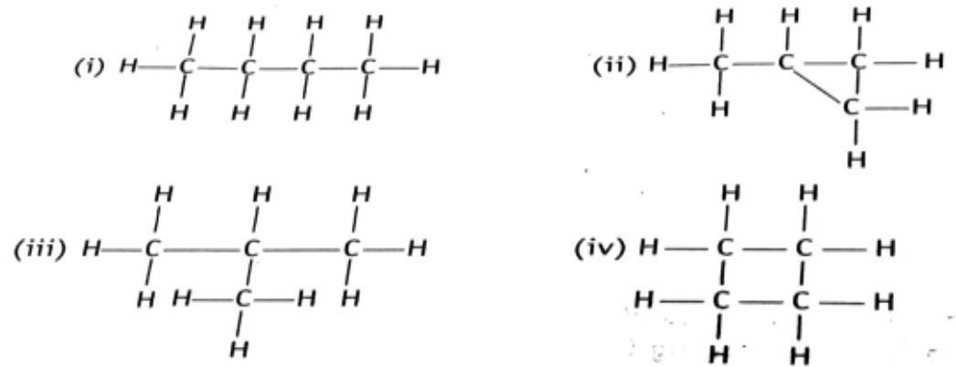 science-mcq-image6