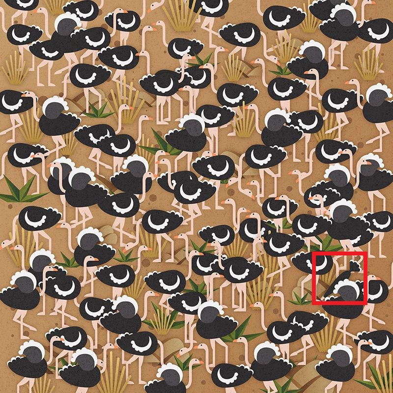 find the hidden umbrella-sol