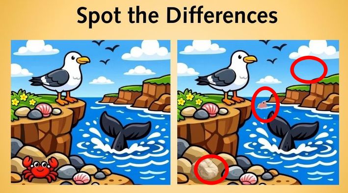 spot differences