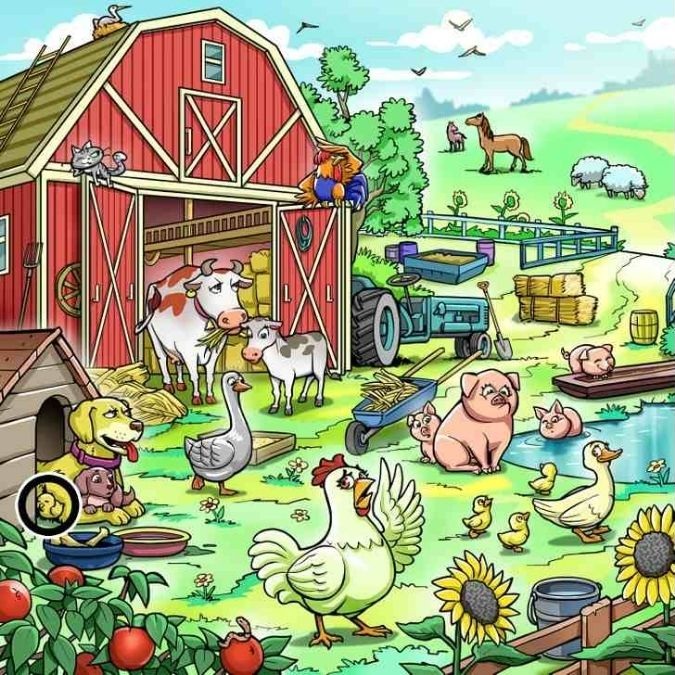 spot-hidden-animal-optical-illusion-answer