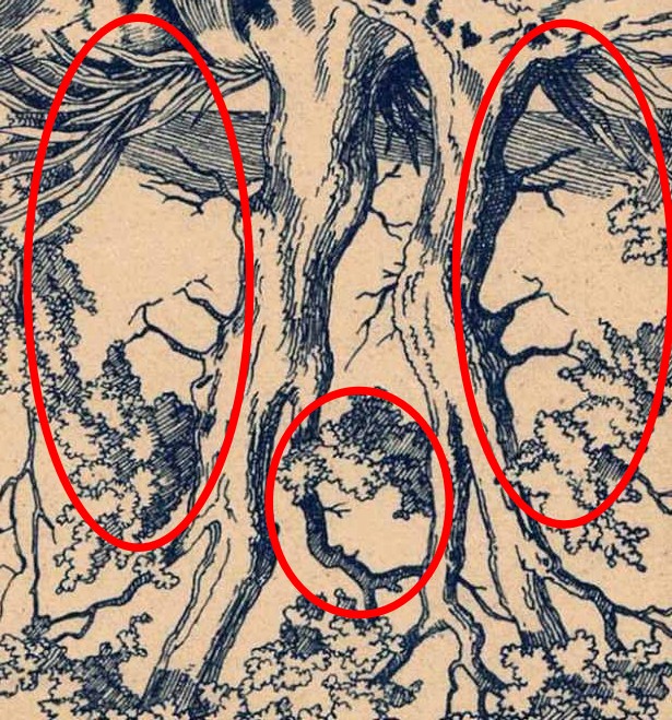 Find three hidden faces optical illusion solution