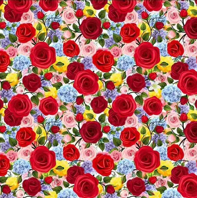 find the hidden lily-que