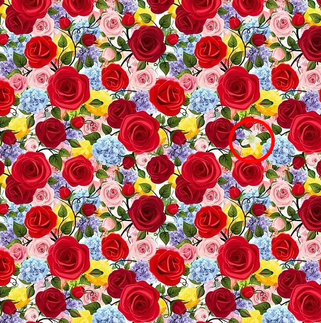 find the hidden lily-sol