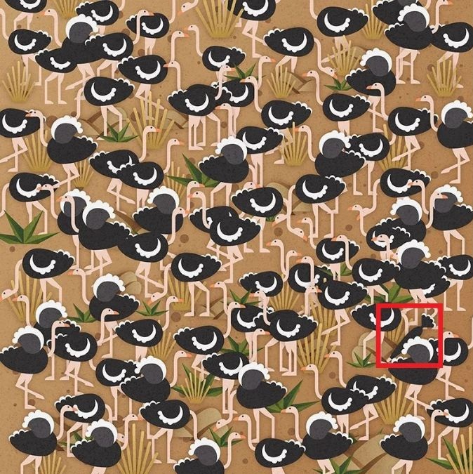 spot-hidden-animal-optical-illusion-answer