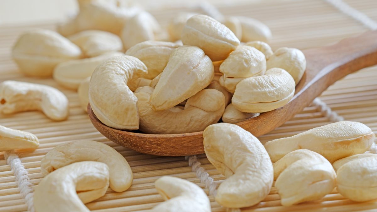 largest cashew producer