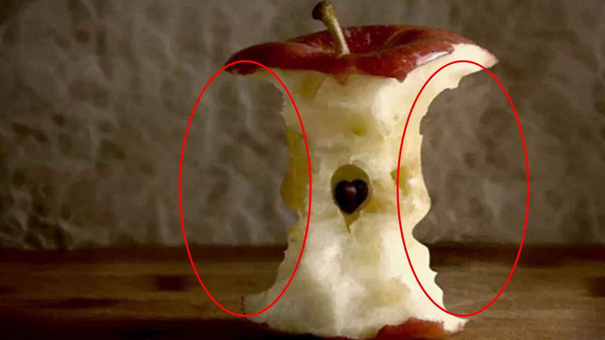 spot-hidden-faces-optical-illusion-answer