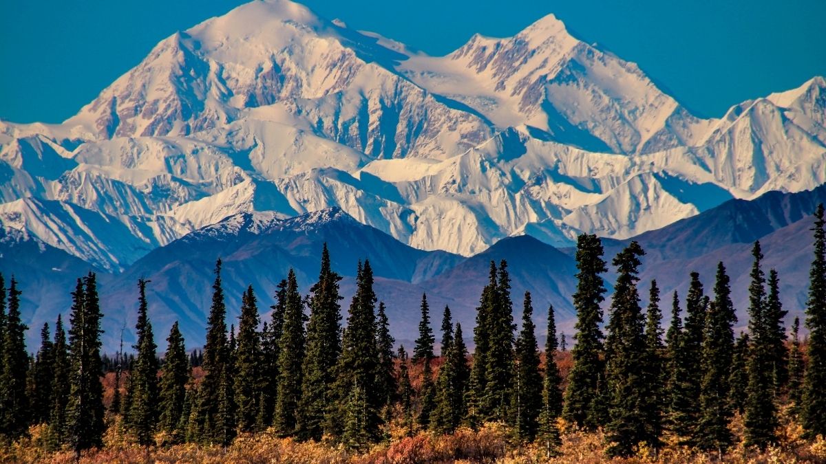 Where is Mount Denali (1)