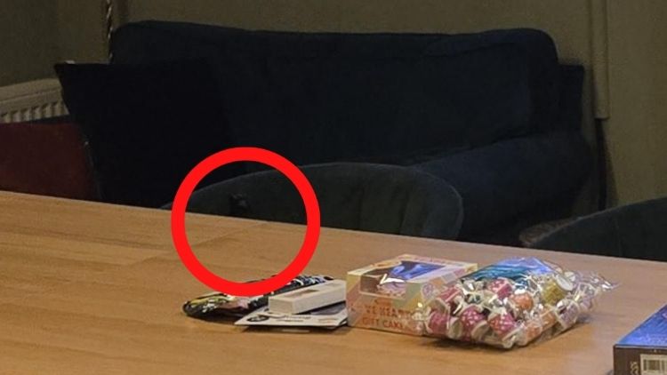 can you find the hidden cat paw-sol