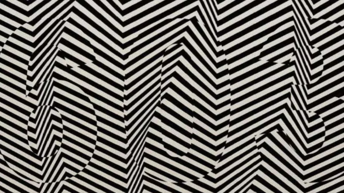 find-hidden-number-optical-illusion