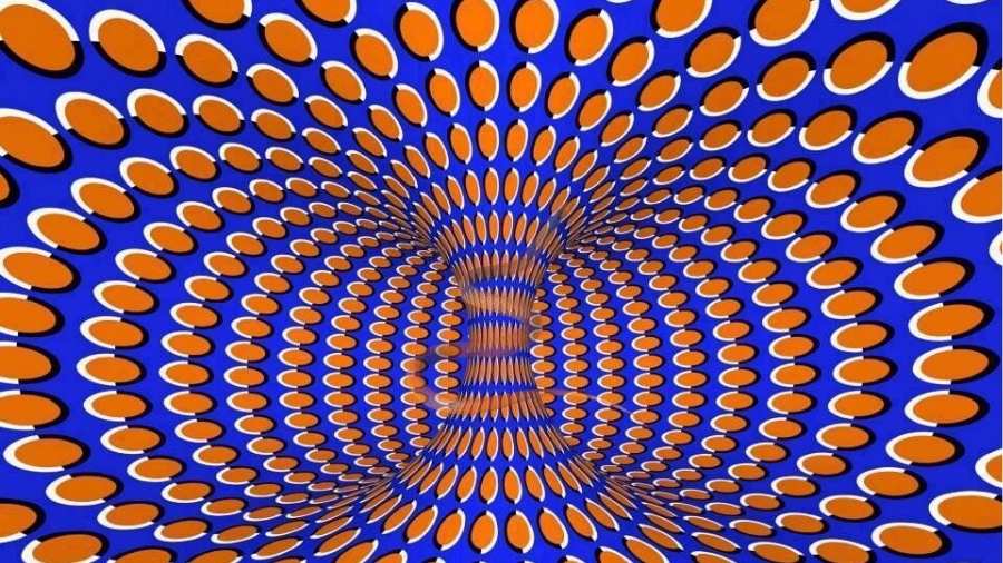 spot the hidden snake in this optical-que