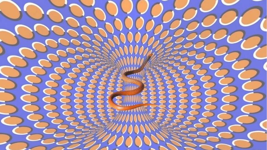 spot the hidden snake in this optical-sol