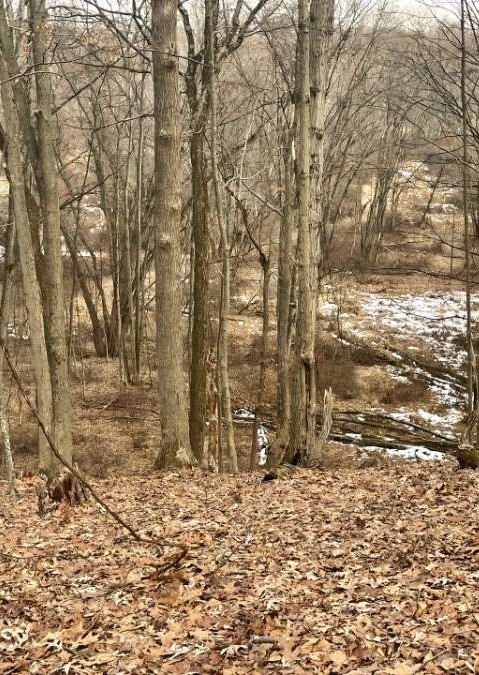 find the hidden deer-que