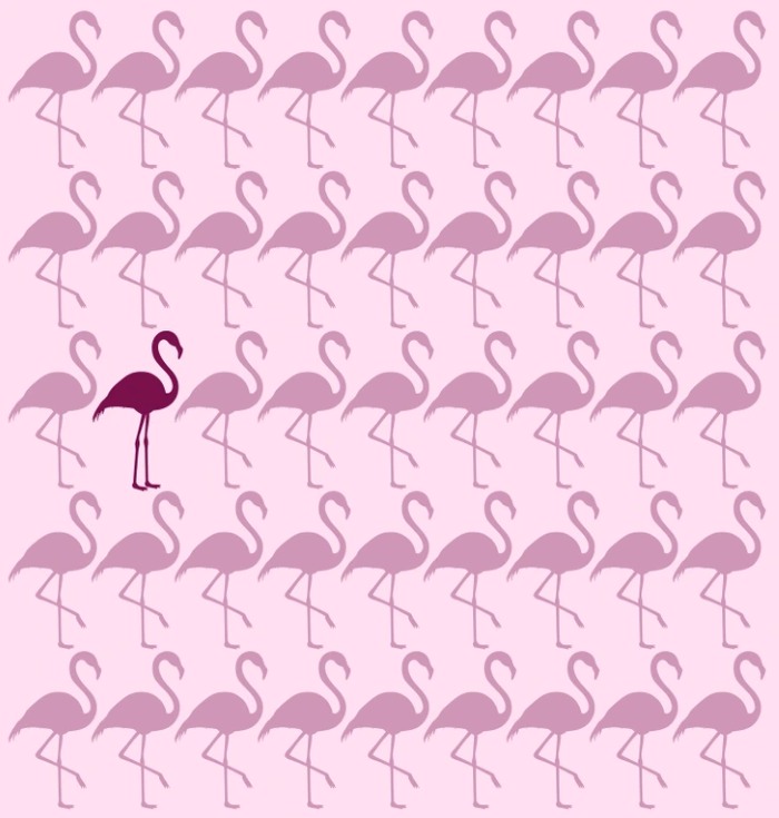 flamingo-solution