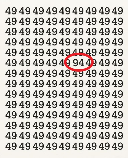 8f2b8a5693822b8c7c7920205d7942ca-one