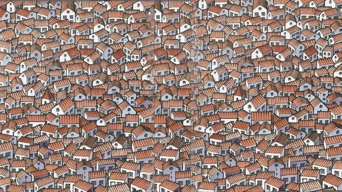 hidden-animal-optical-illusion