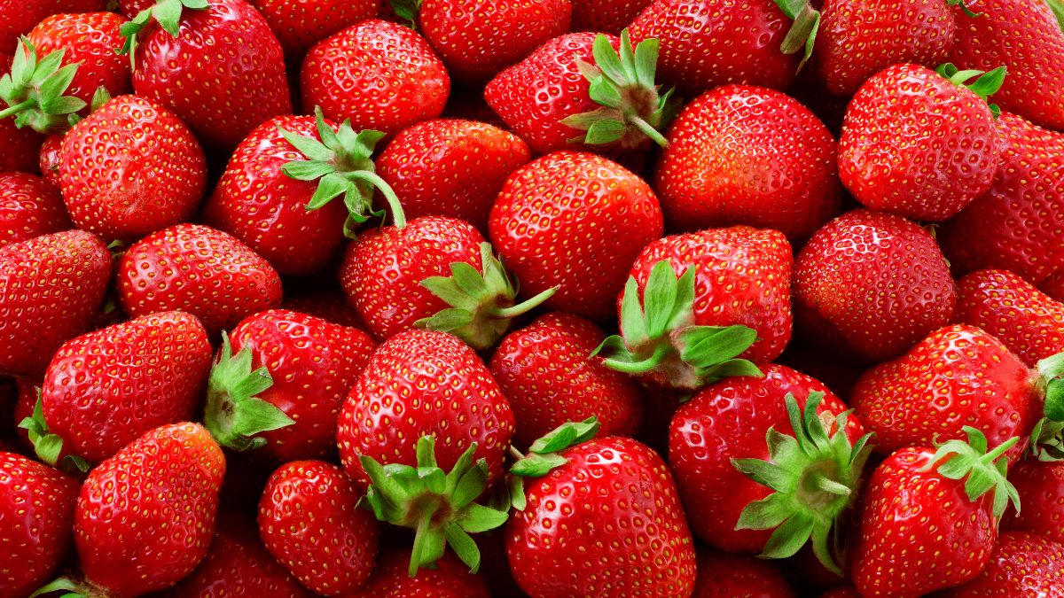 largest strawberry producer