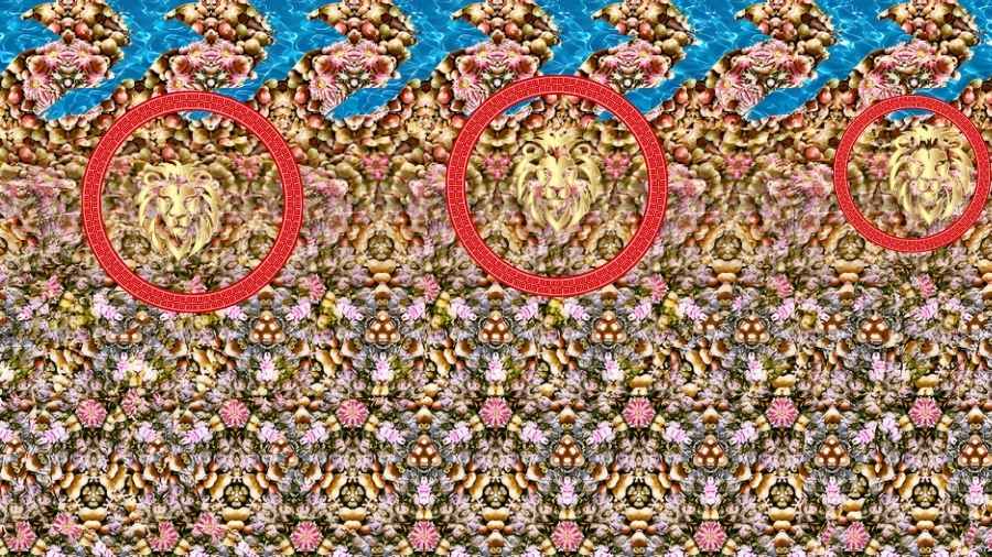 find the hidden lion-solution