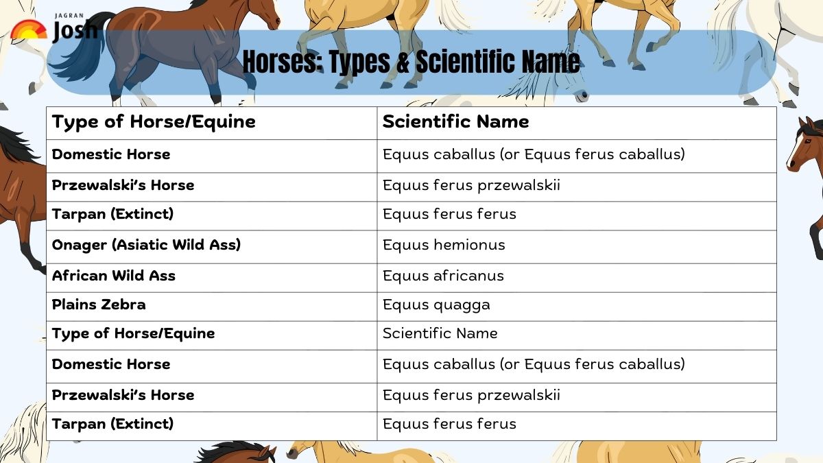 Types of horses and scientific name