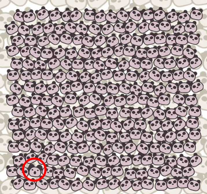 find hidden koala solved