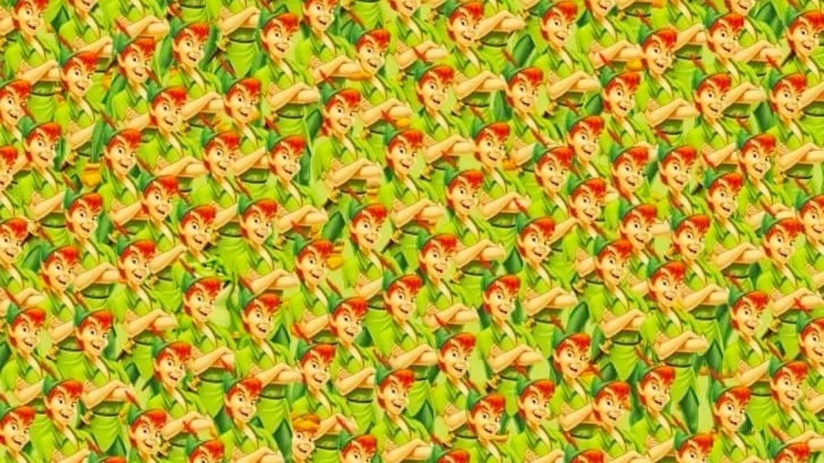 hidden-animal-optical-illusion