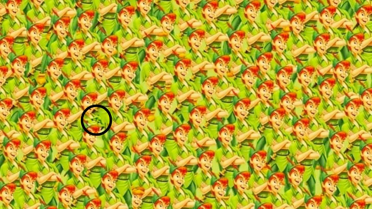 hidden-animal-optical-illusion-answer