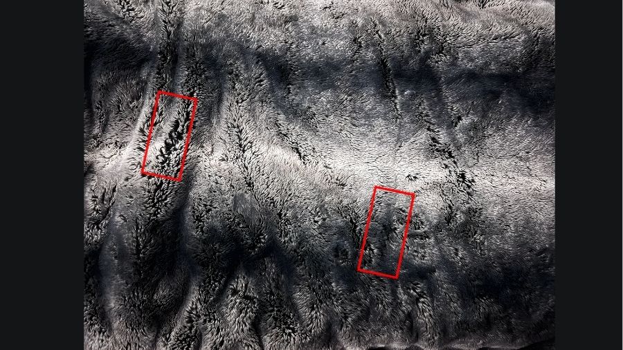 find the hair clip in the blanket-solution