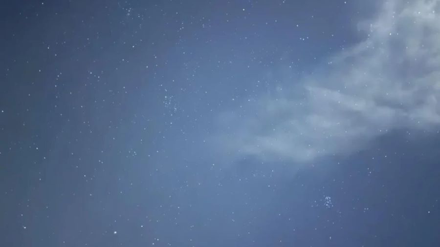 spot the hidden penguin-question