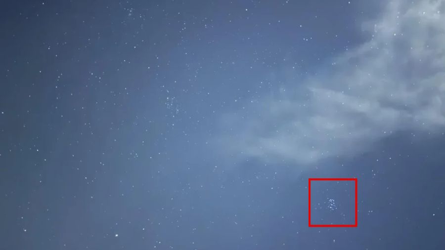 spot the hidden penguin-solution