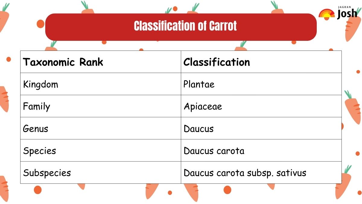 Classification of Carrot Genus