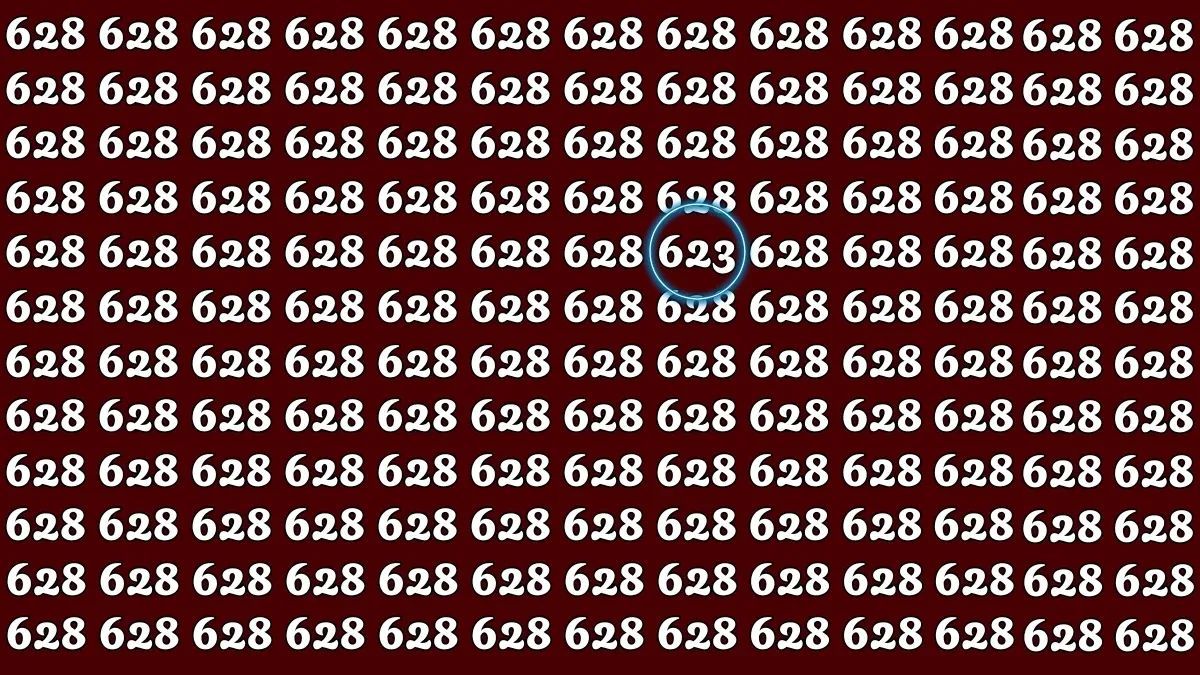 hidden-word-optical-illusion-answer