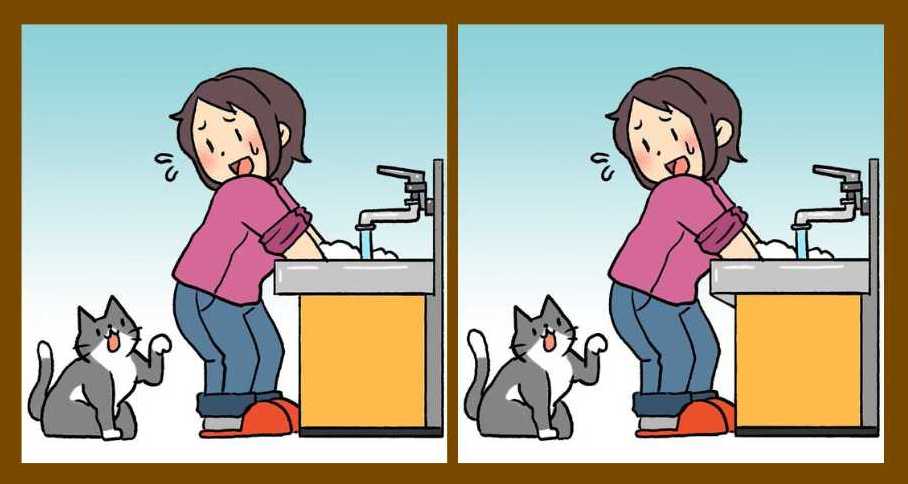 spot 3 changes woman and cat illustration spot 3 changes woman and cat illustration