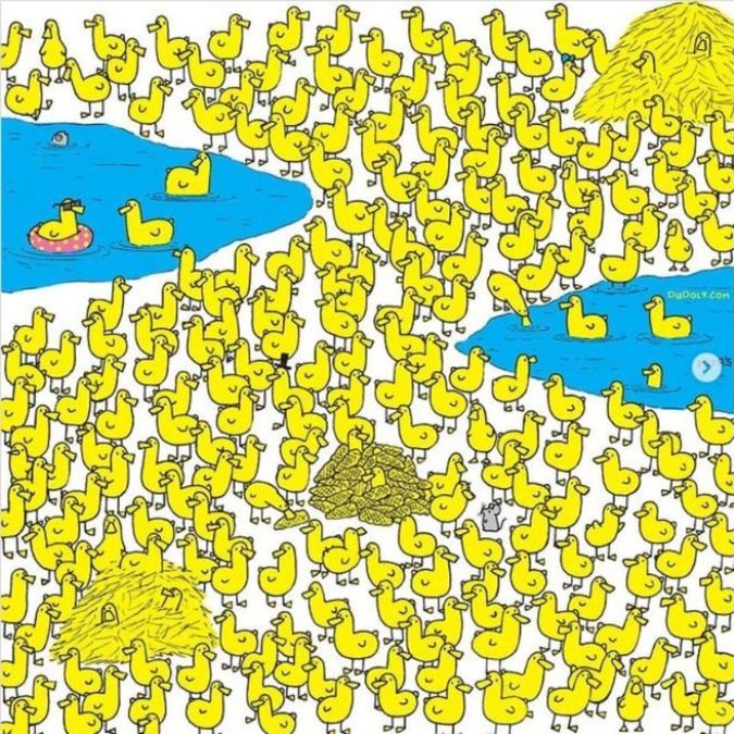 hidden-animal-picture-puzzle