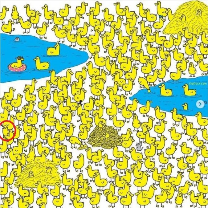 hidden-animal-picture-puzzle-answer