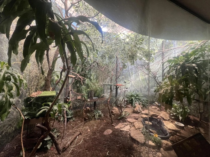 Find the Hidden Bird bird-puzzle