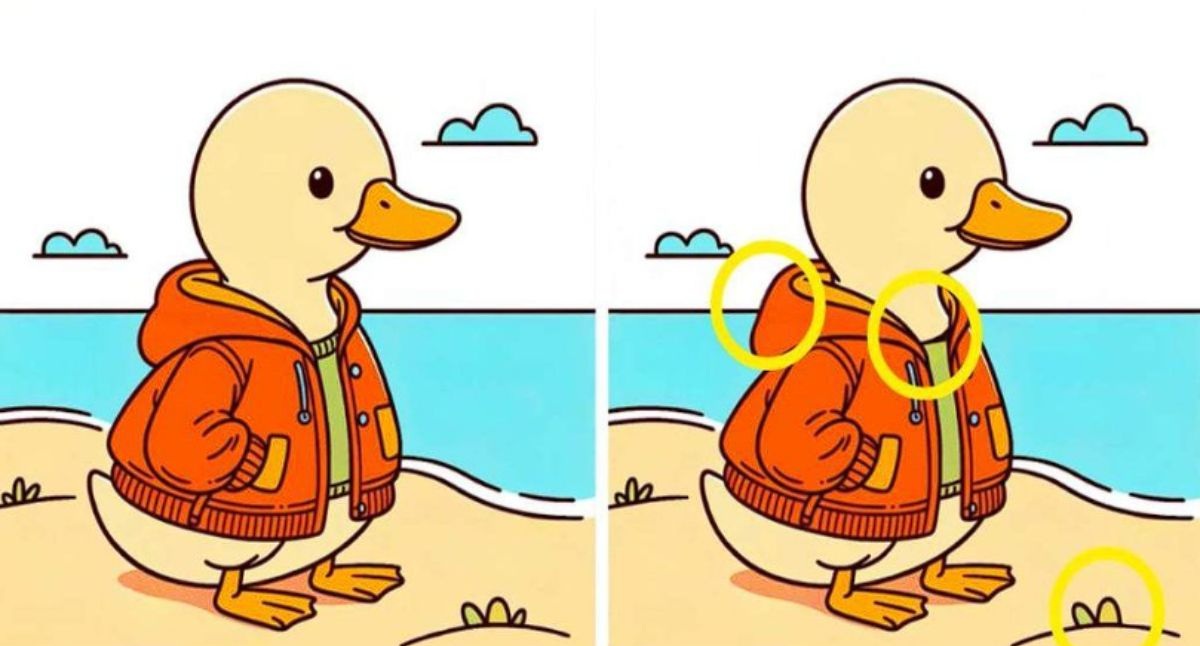 spot-the-differences-answer