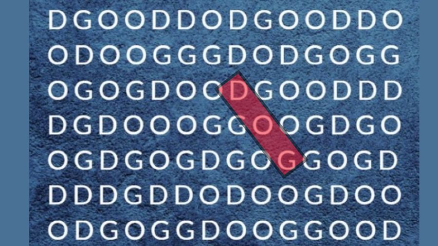 find the word dog-solution