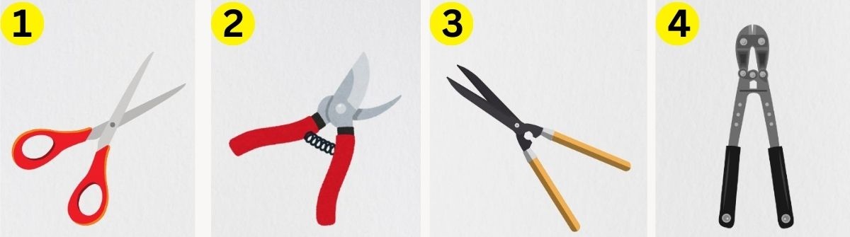 name that thing game name-the-cutting-tools