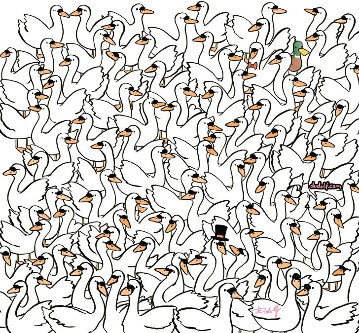 find-hidden-hearts-among-swans-picture-puzzle