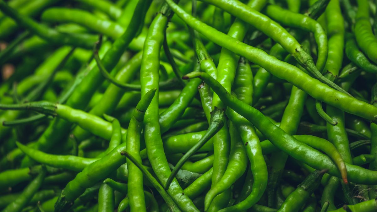 green chilli